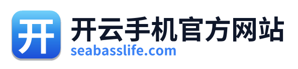 开云手机官方网站